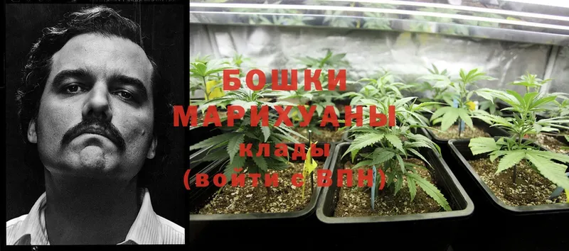 Канабис OG Kush  МЕГА ТОР  Мышкин 